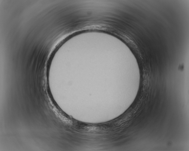 X0000115600792200912081112