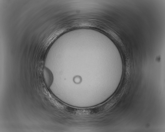 X0000115600793200912081112