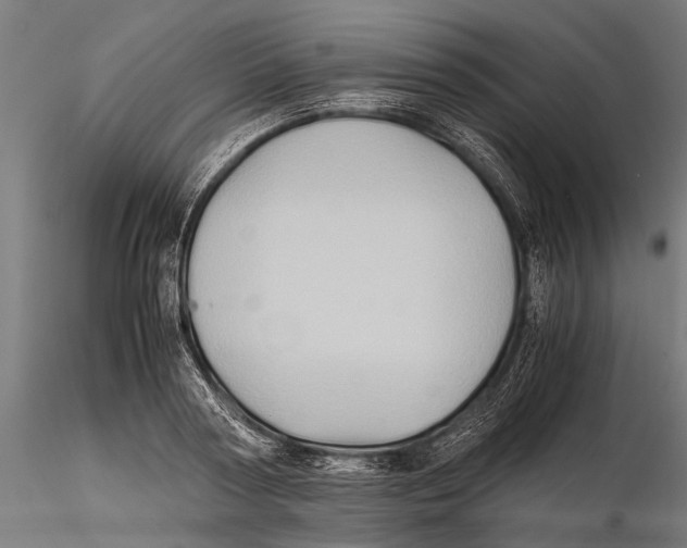 X0000115600794200912081112