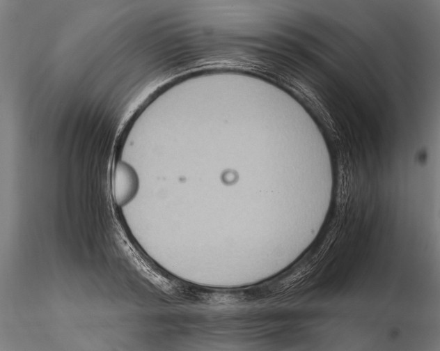 X0000115600796200912081112