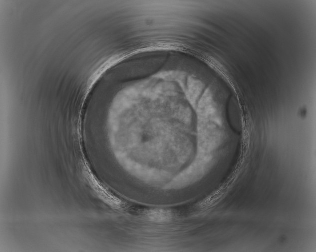 X0000115600797200912081112