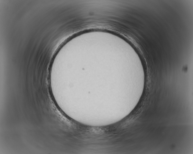 X0000115600799200912081112