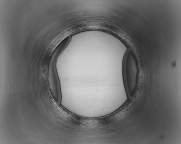 X0000115600801200912081112