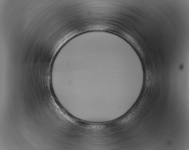 X0000115600802200912081112