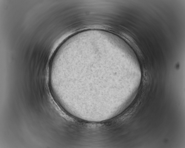 X0000115600804200912081112