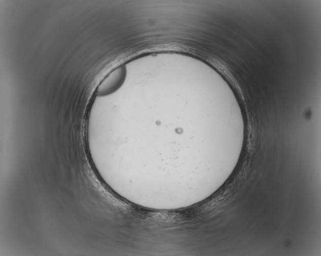 X0000115600805200912081112