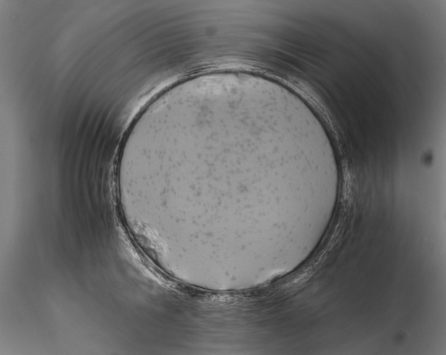 X0000115600806200912081112