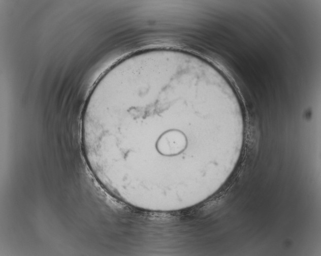 X0000115600807200912081112