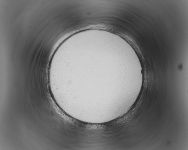 X0000115600808200912081112