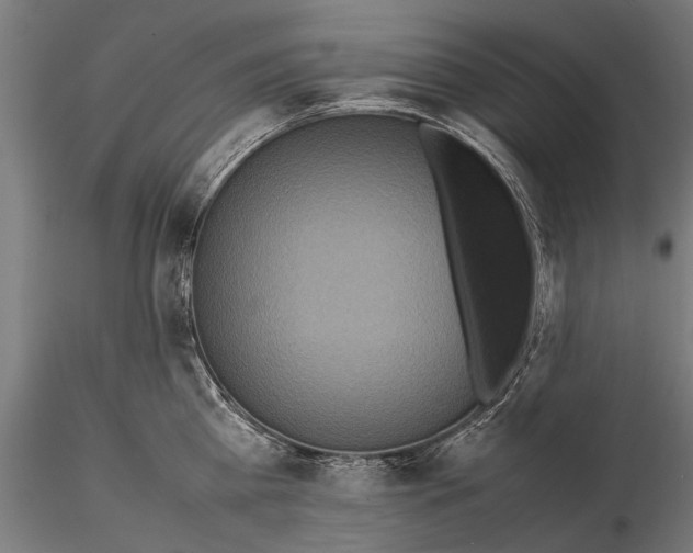 X0000115600809200912081112