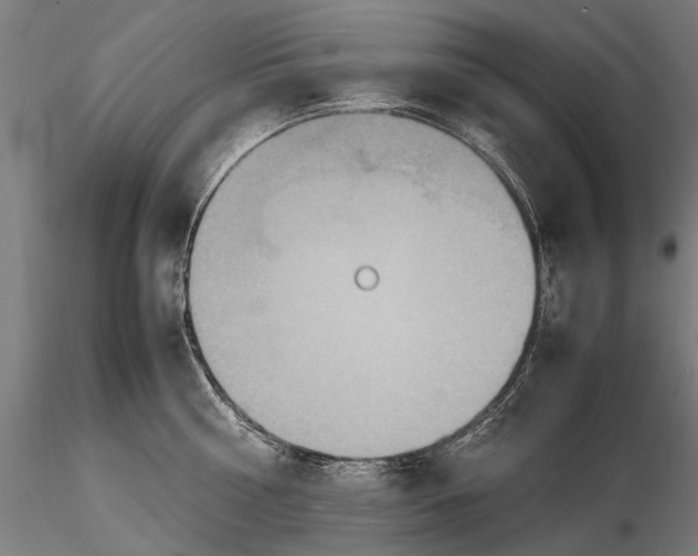 X0000115600810200912081112