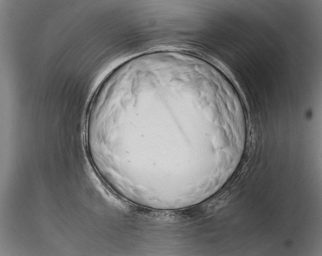 X0000115600811200912081112