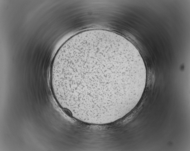 X0000115600812200912081112