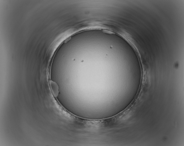 X0000115600813200912081112