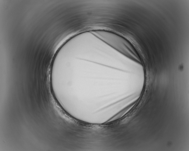 X0000115600814200912081112