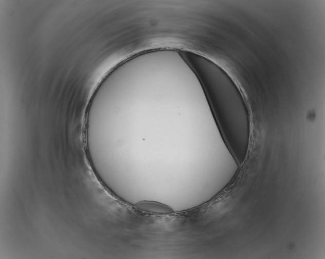 X0000115600815200912081112