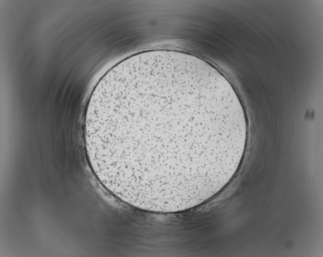 X0000115600816200912081112