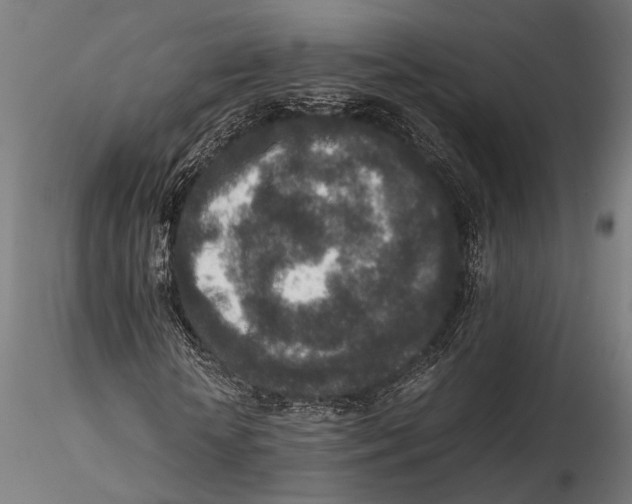 X0000115600818200912081111