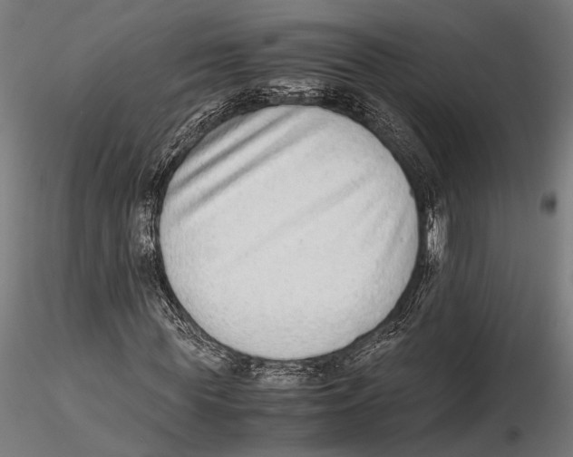 X0000115600819200912081111