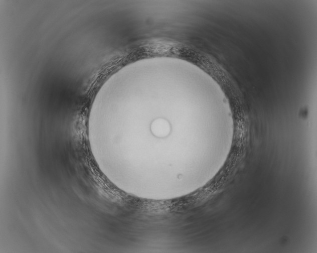 X0000115600820200912081111