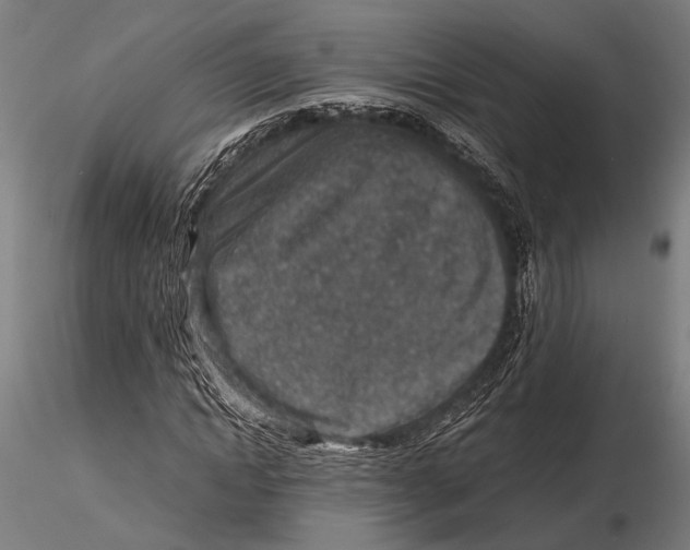 X0000115600822200912081111