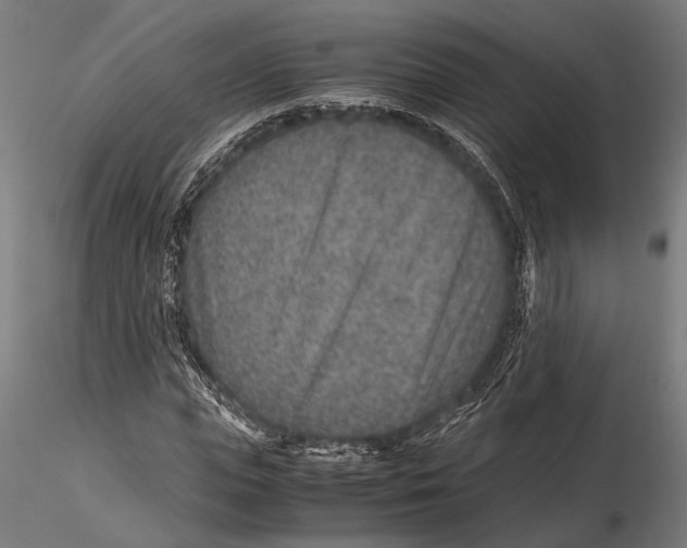 X0000115600823200912081111