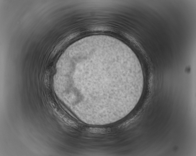 X0000115600825200912081111