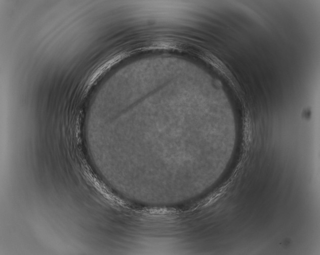 X0000115600826200912081111