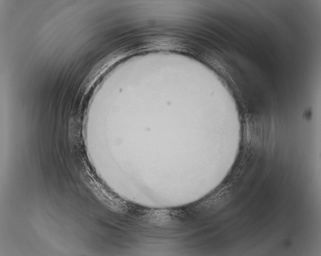 X0000115600828200912081111