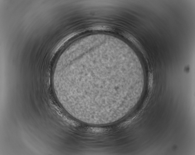 X0000115600829200912081111