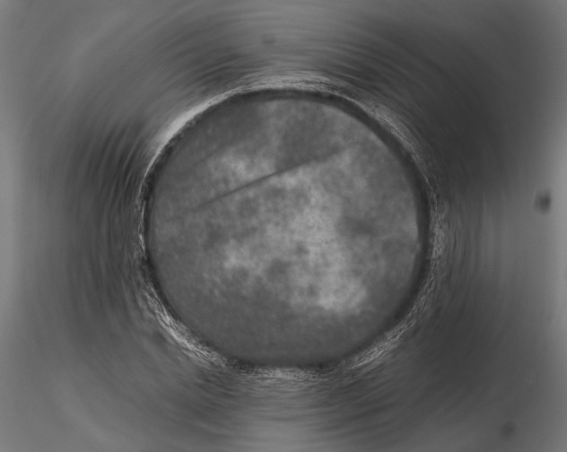 X0000115600830200912081111