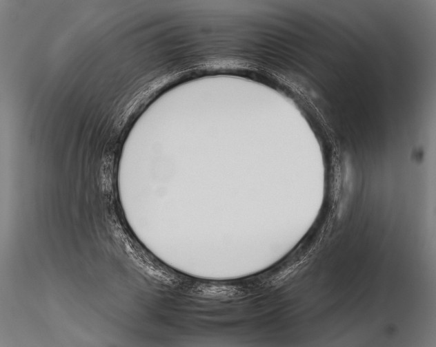 X0000115600833200912081111