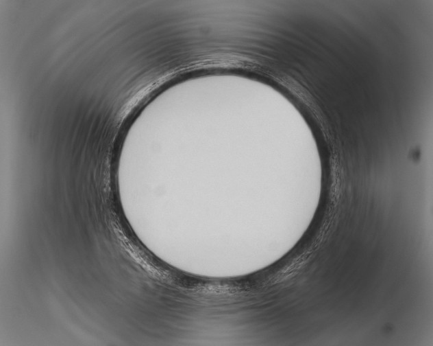 X0000115600834200912081111