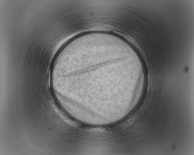 X0000115600838200912081111