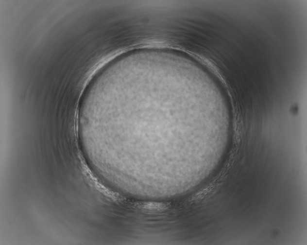 X0000115600839200912081111