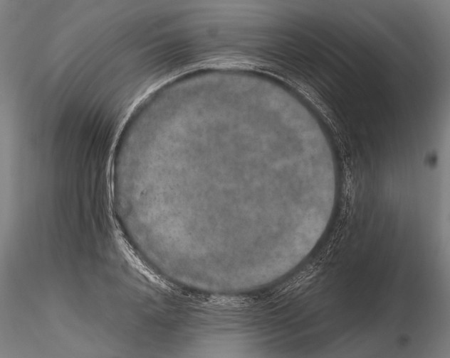 X0000115600840200912081111