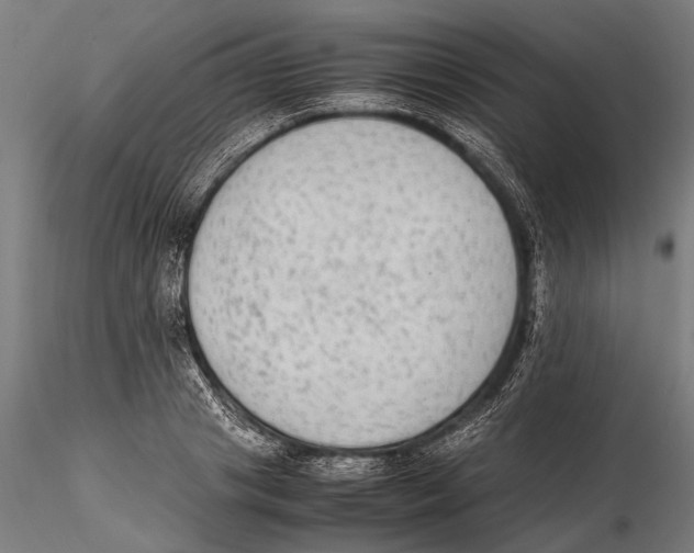 X0000115600841200912081111