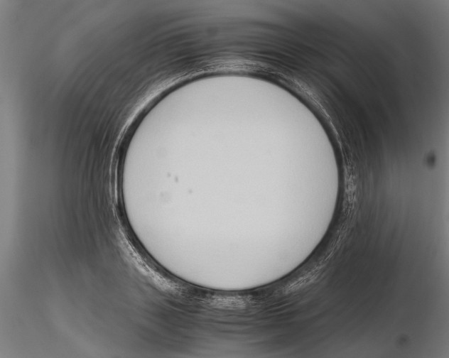 X0000115600843200912081111