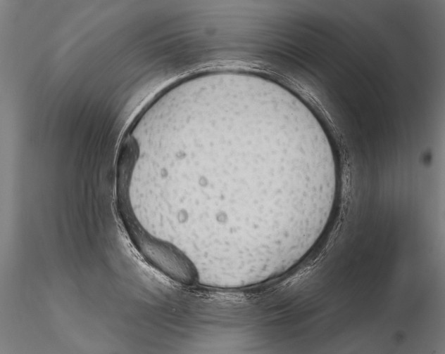 X0000115600844200912081111