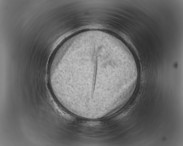 X0000115600845200912081111