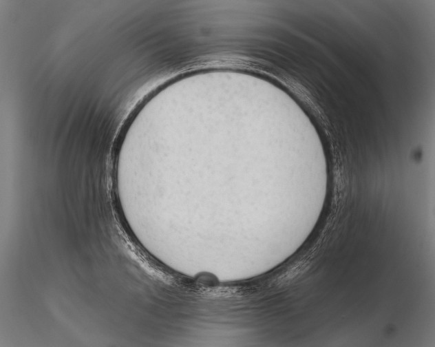 X0000115600846200912081111