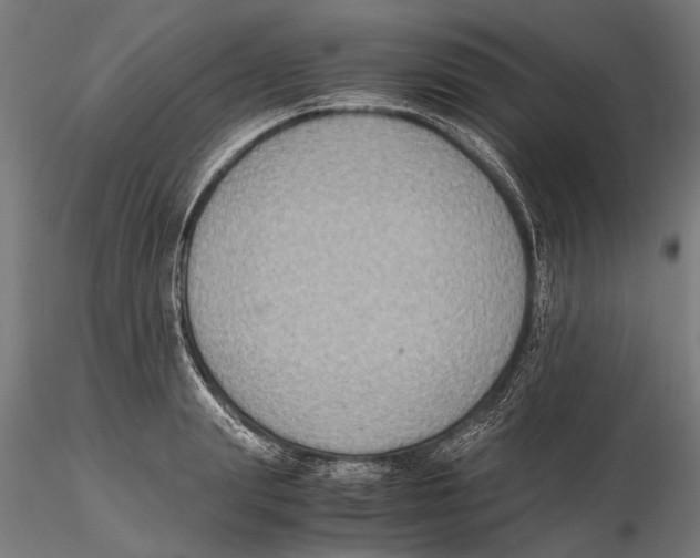 X0000115600847200912081111