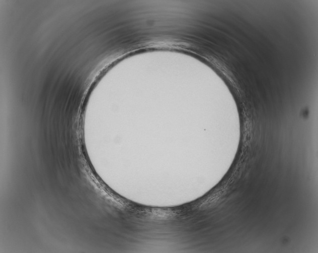 X0000115600848200912081111