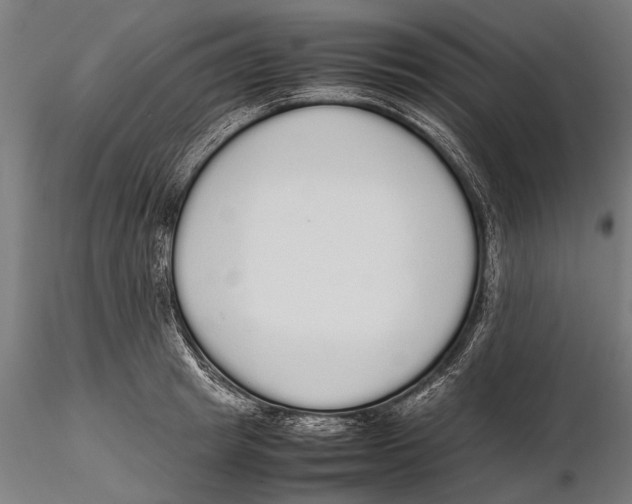 X0000115600849200912081111