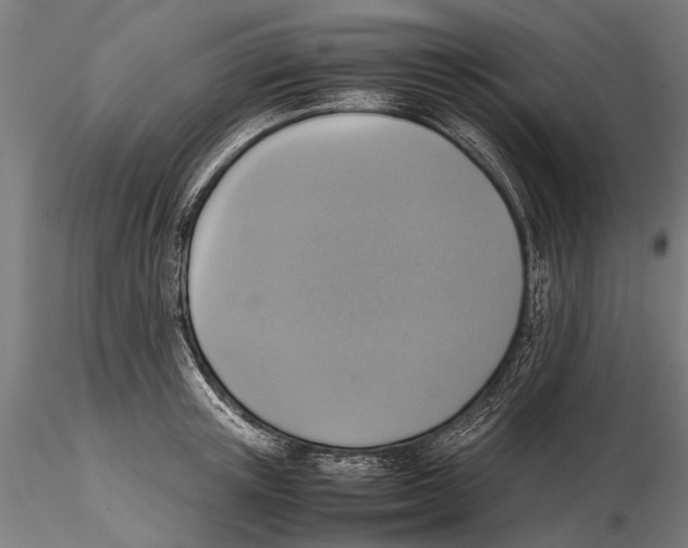 X0000115600851200912081111