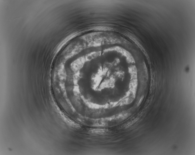 X0000115600853200912081112