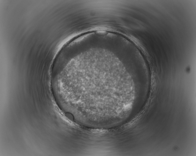 X0000115600854200912081112