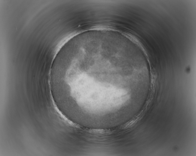 X0000115600855200912081112