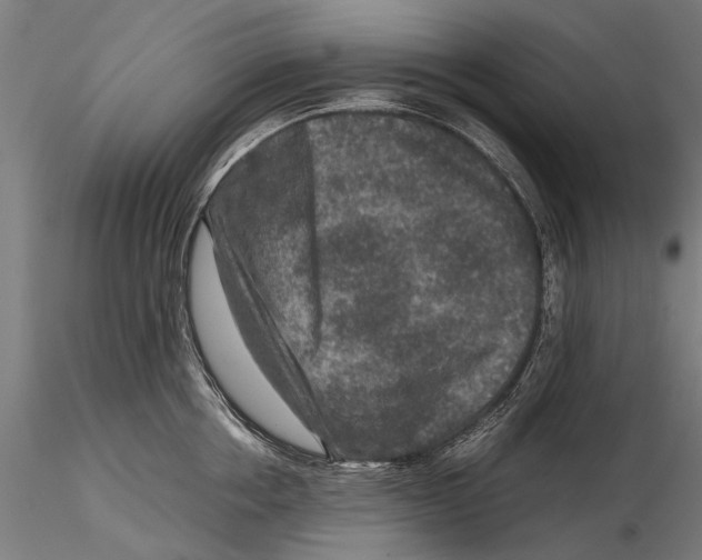 X0000115600858200912081112