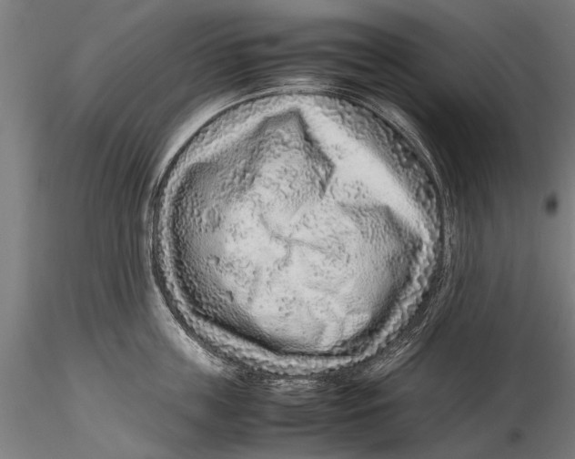 X0000115600859200912081112